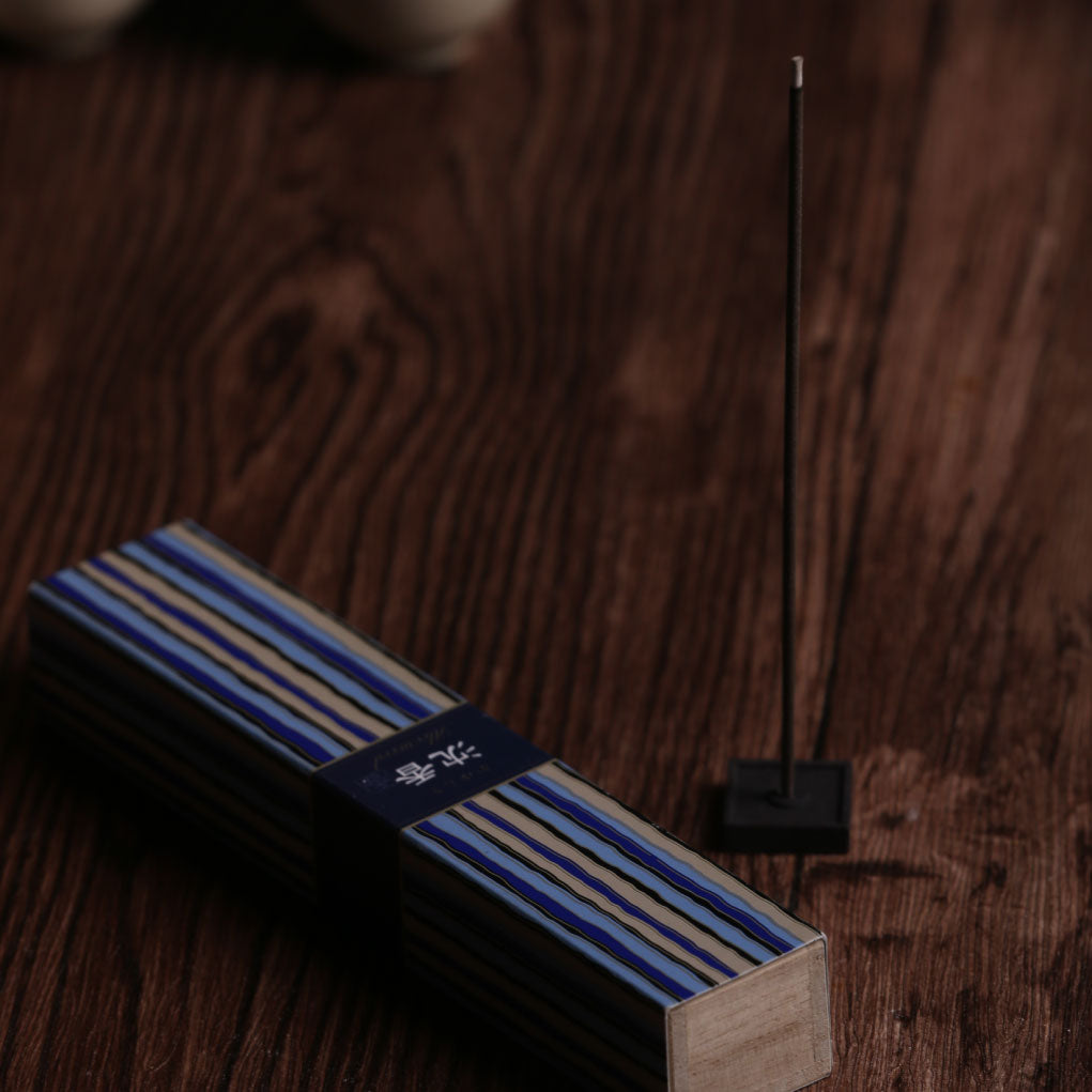 Inventory - Shipping Delay Notice