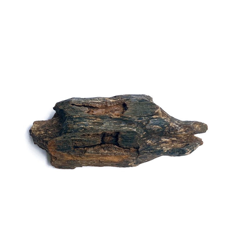 Agarwood